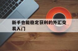 新手也能稳定获利的外汇交易入门的简单介绍