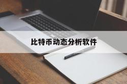 比特币动态分析软件(比特币动态分析软件哪个好)