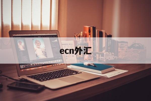 ecn外汇(ecn外汇是什么意思)